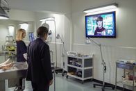 Navy CIS – Müssen einen neuen Fall lösen: Abby (Pauley Perrette, r.), Bishop (Emily Wickersham, l.) und Ducky (David McCallum, M.) ...