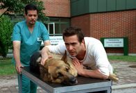 Kommissar Rex – Marc Hoffmann (Alexander Pschill) verabschiedet sich von Rex, der sofort in den OP gebracht wird (li.: Carl Miller).