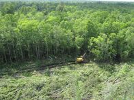 Holzfäller extrem – Fourth generation logger Bobby Goodson is one of the rare breed of swamp-loggers working the murky, dangerous swamps of North Carolina in search of high value timber for everything from paper products to construction grade lumber.