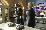 Navy CIS – Ein Fall, der Parallelen zu einem Serienkiller aufweist, muss gelöst werden. Gibbs (Mark Harmon, r.) und Abby (Pauley Perrette, l.) geben alles, um den Täter zu fassen und den Fall erfolgreich abzuschließen ...