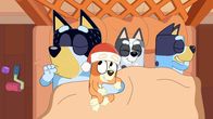 Bluey – L-R: Bandit, Bingo, Muffin, Bluey