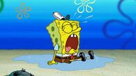 SpongeBob Schwammkopf – SpongeBob