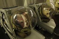 Kosmonauten - Helden im All – Nachbildungen der Hunde, die als erste Lebewesen in sowjetischen Raumschiffen in den Kosmos reisten.
