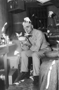 Der Gefangene von Alcatraz – Robert Franklin Stroud (Burt Lancaster) in seiner Gefängniszelle, wo er viele Vögel hält: Das Studium ihres Verhaltens wird zu seiner neuen Lebensaufgabe.