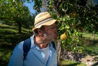 freizeit – Der Schmidt Max ist unterwegs in den Streuobstwiesen rund um Burgbernheim. Alles dreht sich hier um Apfel, Zwetschge & Co: Kilometerweit führen Wanderwege durch die Obsthänge. Rucksäcke fürs Schlemmer-Picknick kann man sich im Ort abholen. Markierte Naschbäume bieten ihre Früchte kostenlos an.