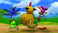 Miss Spider – .