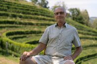 Heimatleuchten – Rupert Sternat posiert für ein Foto für ServusTVs "Heimatleuchten - Heurigen" in Leutschach, Steiermark, Österreich am 26.06.2024.