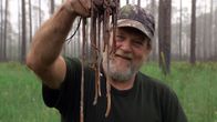 Wunder der Wissenschaft – Sonderbares Phänomen - Regenwurmjäger macht mit seinem Grunzen Regenwürmern Angst.