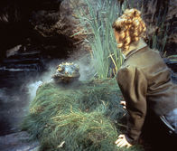 Der Froschkönig – Der Froschkönig (1991)