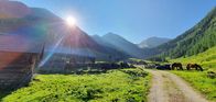 Landleben – Köckhütte Tuchmoaralm. Dort wird auf 1.500 hm Original Ennstaler Steierkas produziert .