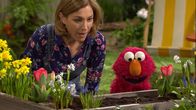 Sesamstraße – Julia und Elmo kümmern sich um eine Sonnenblume.