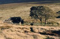 Sturmhöhe – Die Ruine Top Withens in den Hochmooren von Yorkshire soll Emily als Inspiration für das Wohnhaus der Familie Earnshaw in ihrem Roman „Sturmhöhe“ gedient haben.