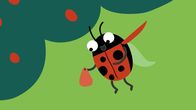 Animanimals – Der rote Marienkäfer kommt angeflogen.