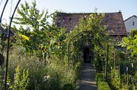 Garten und lecker – Die fünfte Folge führt uns in die älteste Gemeinde der Südpfalz. Rheinzabern wurde als „Tabernae“ von den Römern gegründet. Hier pflegt Peter Hamburger mit seinem Mann Roland Häfele ein Schlaraffenland für Vögel und Insekten.