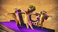 King Julien – Fr, 04.11., 06:05 Uhr