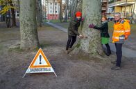 X:enius – Moderatoren Dörthe Eickelberg (Mi.) und Pierre Girard (li.) machen unter Aufsicht von Biologe Manfred Forstreuter (re.) den Klopftest.