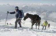 GEO Reportage – Pferdezüchter in Südrussland wollen den Elbrus per Pferd besteigen - als Symbol für das Wiedererstarken der besonders robusten Karachai-Pferderasse.