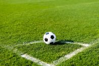 Fußball: Champions League – football