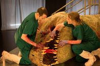 T-Rex Autopsie – UNITED KINGDOM - Drs. Brusatte and Herridge examine the T. rex’s mouth.  (photo credit: National Geographic Channels/Stuart Freedman)