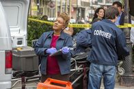 Navy CIS: New Orleans – Bei den Ermittlungen in einem neuen Fall: Dr. Wade (CCH Pounder) ...