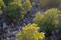 Der ewige Garten – Die Fläche des Père Lachaise umfasst zwar 44 Hektar, wirkt beim ersten Betreten jedoch überschaubar. Der Pariser Friedhof lädt zum Nachdenken und zur Besinnung ein.