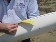 When Sharks Attack - Hai-Alarm – SANTA BARBARA, CALIF. - Ralph Collier examining bite marks on an arm. (National Geographic/Tristan Walker)