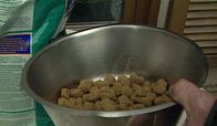 Unser Hund – Geeignet für den Hund ist spezielles Trockenfutter, das enthält im wesentlich alles, was das Tier braucht, vom Eiweiß bis zu den Mineralstoffen und Vitaminen.