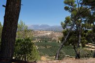 Aufstieg und Fall großer Völker – Auf Kreta erschaffen die Minoer eine reiche Kultur.