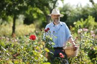 Schmeckt das oder kann das weg? – Sven Jacobsen im Rosengarten.