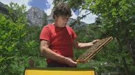 Die Bienenflüsterer – Brane Kozinc stammt aus einer Imkerfamilie, in der die Leidenschaft für die Bienen seit vier Generationen vom Vater an den Sohn weitergegeben wird. Seine Familie hat die älteste reinrassige Zucht der Kärntner Biene.
