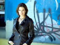 CSI: NY – CSI: NY (2013)