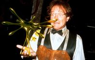 Flubber – Robin Williams
