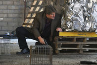 Castle – Castle (2015)