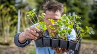 Rasch durch den Garten – Rasch durch den Garten (2021)