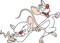 Pinky und Brain – Pinky und Brain (1996)