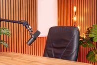 SWR3 FIT - Visual Radio – Professionelles Podcast-Setup mit dynamischem Mikrofon