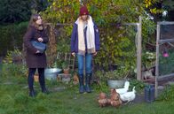 Re: – Meike Dewein auf Hausbesuch: Die Tierärztin kümmert sich um Hühner aus Legebatterien, die erlöst wurden und nun privat bei Tierliebhabern untergekommen sind.