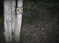 Unfall, Selbstmord oder Mord – A mark on the tree