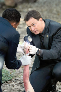 CSI: NY – CSI: NY (2012)