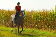 Anna und die Haustiere – Im Galopp durchs Gelände zu reiten macht riesigen Spaß.