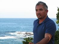 Der Hundeflüsterer – (6. Staffel) - Egal ob Bello, Fiffi oder Wuffi, Cesar Millan hat für jeden Vierbeiner die passende Lösung parat. Der Hundeprofi ist momentan der berühmteste und gefragteste Experte in Sachen Hundetraining ...