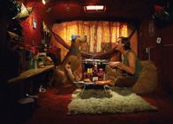 Scooby-Doo – Scooby-Doo (2002)