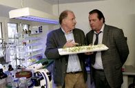 Die Rosenheim-Cops – Stolz präsentiert Andreas Krammel (Bernhard Helfrich, l.) Rosenheim-Ersatzcop Florian Prantl (Andreas Giebel) seinen Nachzucht der Kartoffelsorte, die der Stein des Anstoßes ist.