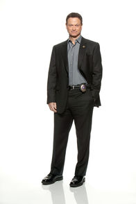 CSI: NY – CSI: NY (2013)