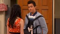 iCarly – So, 14.04., 01:45 Uhr