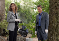 CSI: New York – CSI: New York (2008)