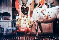 Pippi Langstrumpf – Inger Nilsson (Pippi Långstrump).