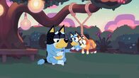 Bluey – Fr, 09.10., 06:45 Uhr