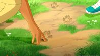 Lassie – Die Kinder haben Spuren von der verschwundenen Lassie entdeckt.
