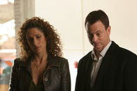 CSI: NY – CSI: NY (2010)